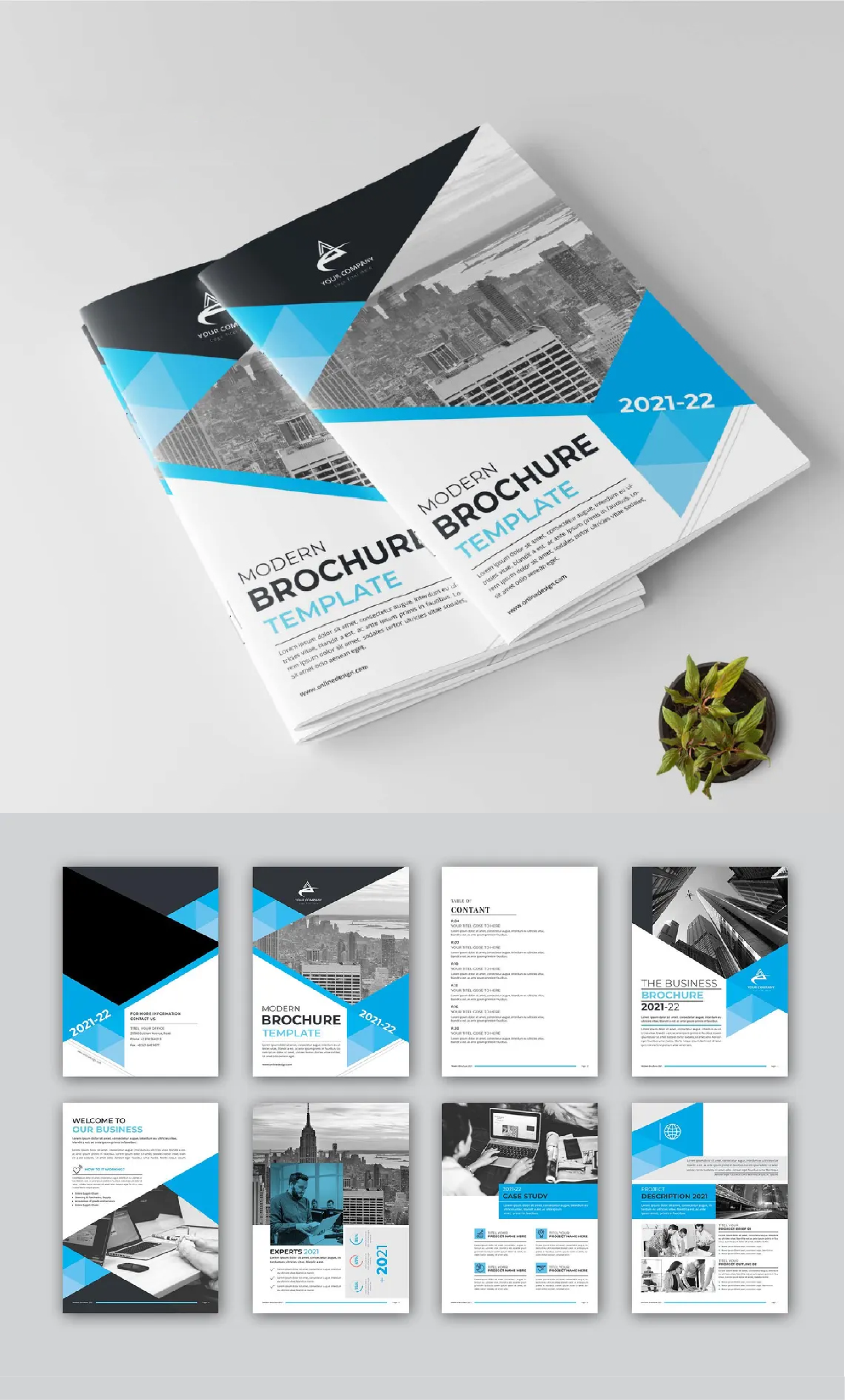 Brochure Design